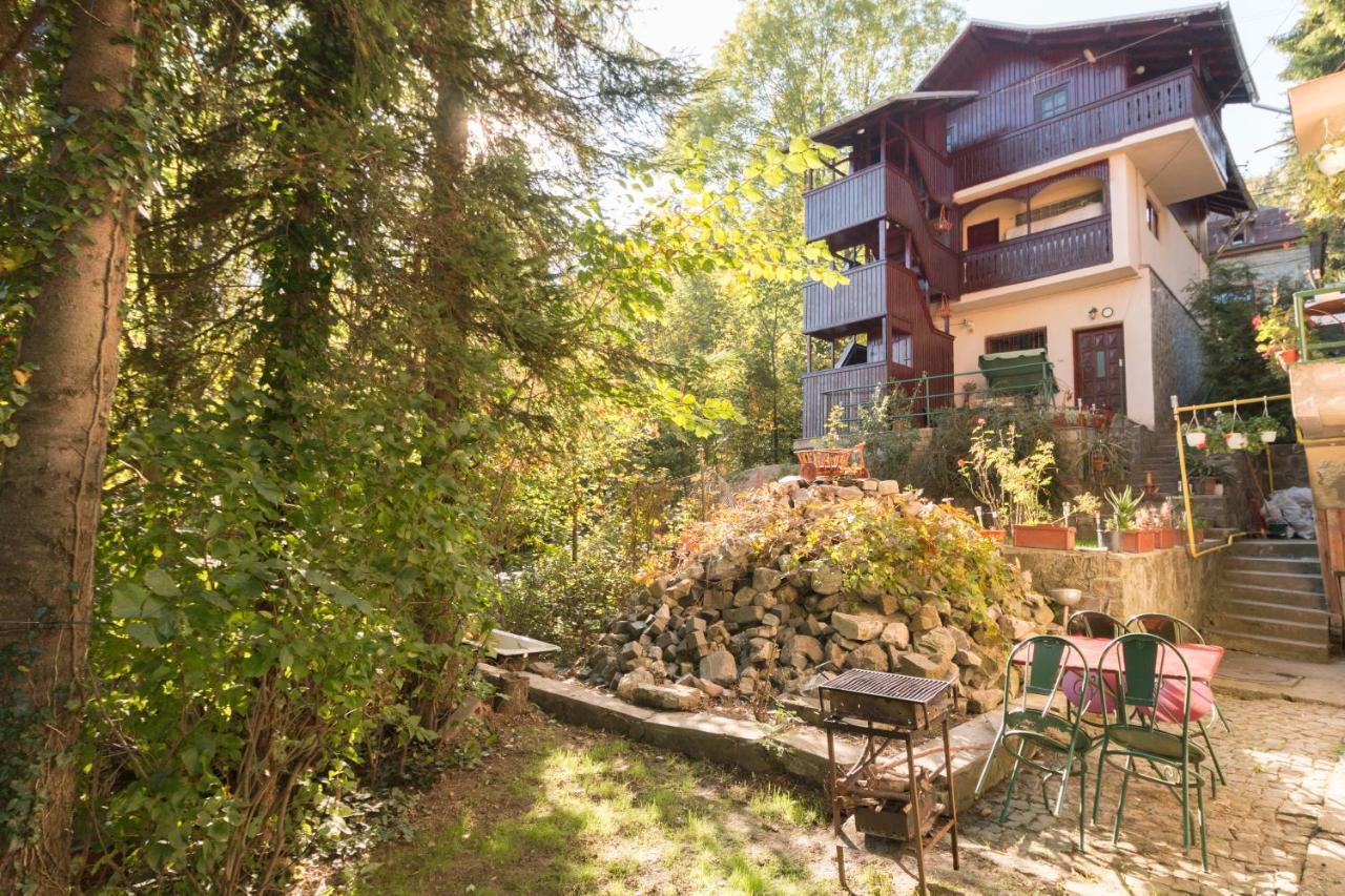 Rustic Regal Apartment Синая Екстериор снимка